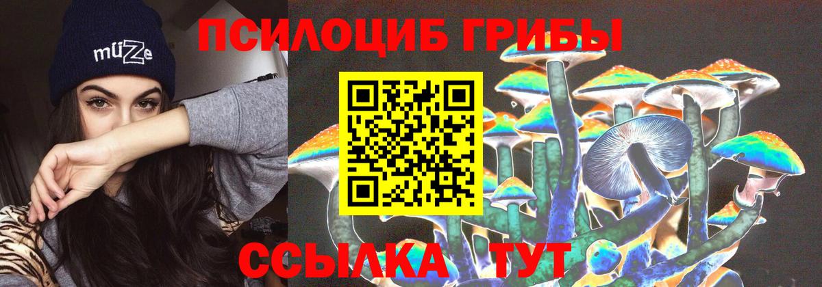 Ялуторовск  Галлюциногенные грибы Cubensis  Вход с VPN 